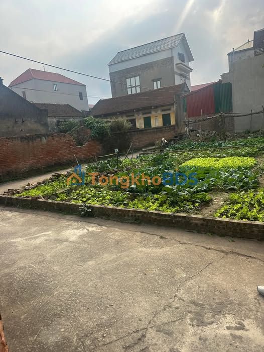 Đất Nền Lô Góc 77m² Trà Lâm, Bắc Ninh - Sổ Đỏ Sẵn Sàng, Giá Chỉ 2 Tỷ