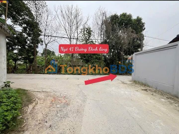 Bán Đất Thổ Cư 346m² Dược Hạ, Sóc Sơn - Sổ Đỏ Sẵn Sàng, Giá Tốt