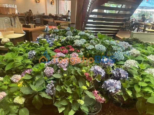 Mặt Tiền QL13 Thủ Đức 1807m² - Đầu Tư Sinh Lời Gấp Bội