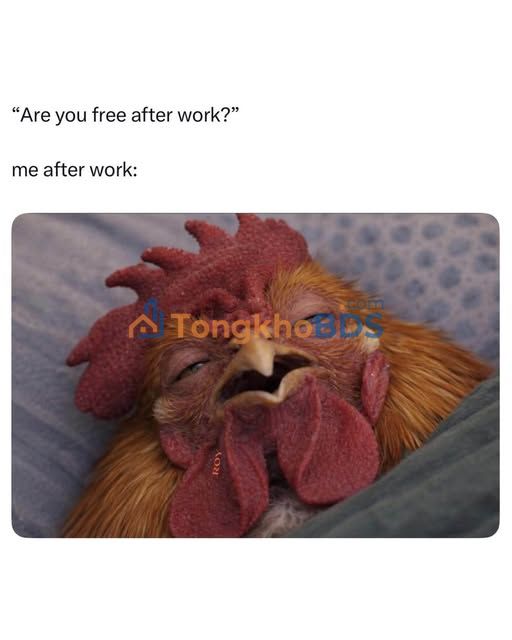 Đất Lý Thường Kiệt Pleiku 400m² 3 tỷ - Đường to ô tô