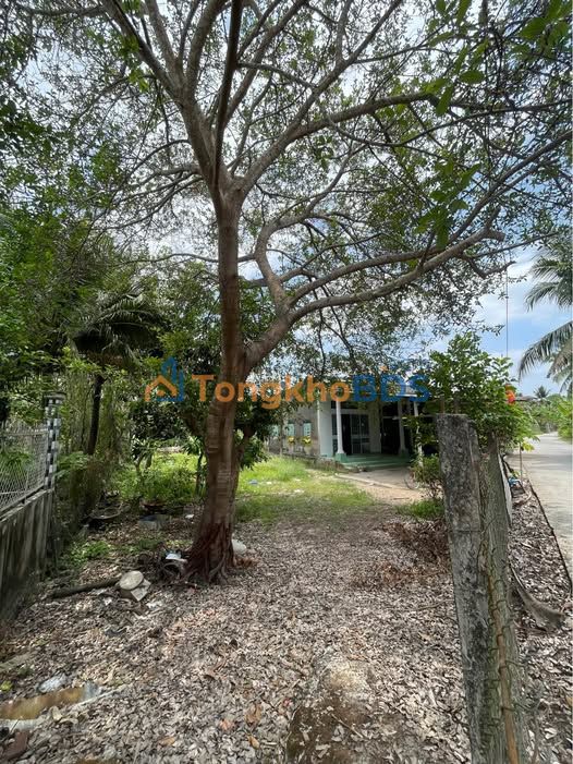 Đất nền Long Tuyền Cần Thơ 301m² 1,55 tỷ - Pháp lý rõ ràng