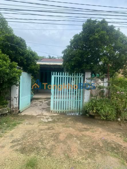 Đất nền Tân Biên 5.000m² 15 tỷ - Sổ đỏ chính chủ