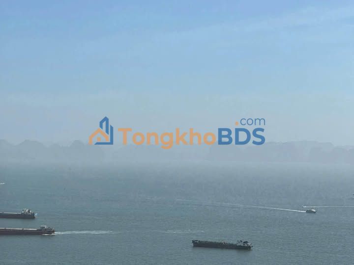 Studio The Sapphire Hạ Long 38m² - Sổ Đỏ Lâu Dài - Giá 1.7 Tỷ