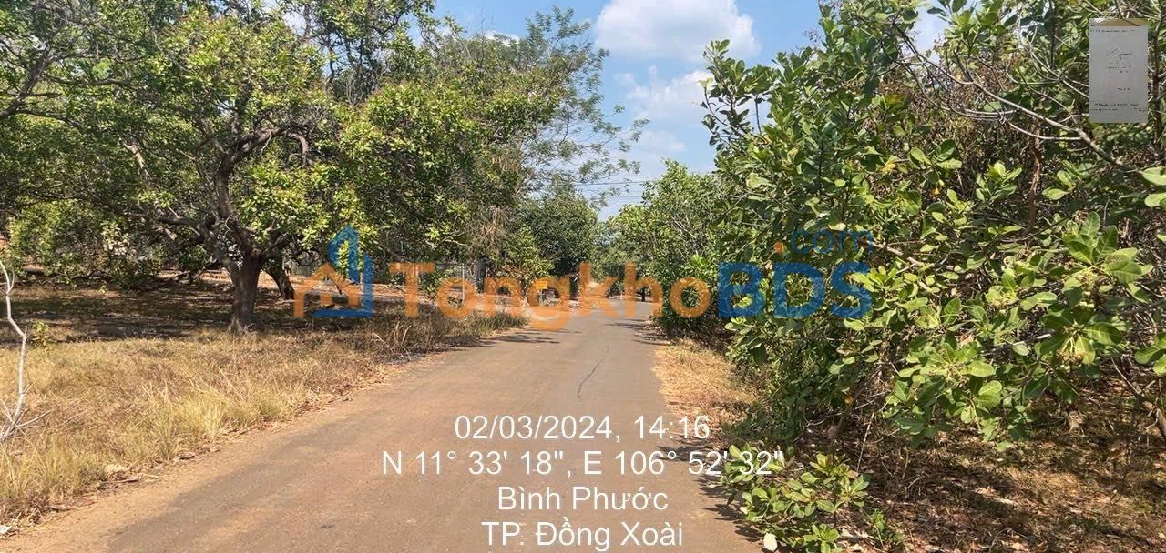 Đất nền Tiến Thành Phan Thiết 185m² 5 tỷ - Xây dựng tự do