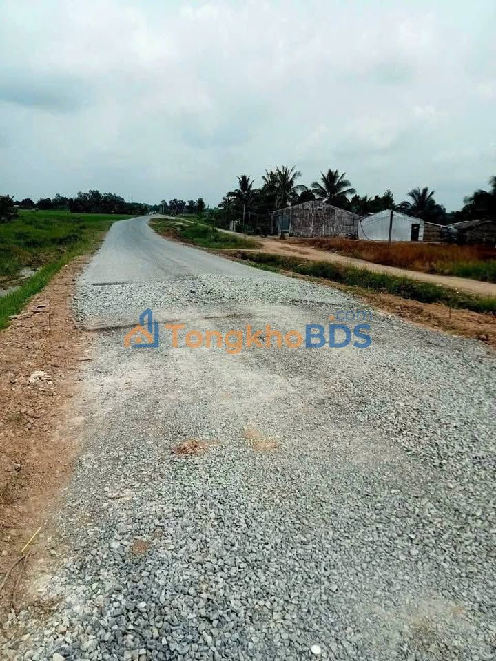 Đất Vườn 6500m² Vĩnh Châu, Sóc Trăng - Hai Mặt Tiền Lộ Nhựa, Giá Tốt