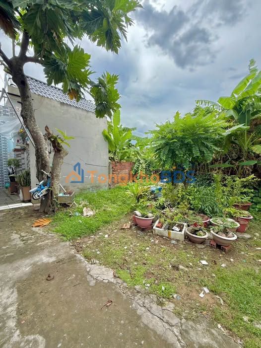 Đất Nền Ngang 8m Giá Mềm Tại Chợ Gạo, Tiền Giang - 7xx Triệu