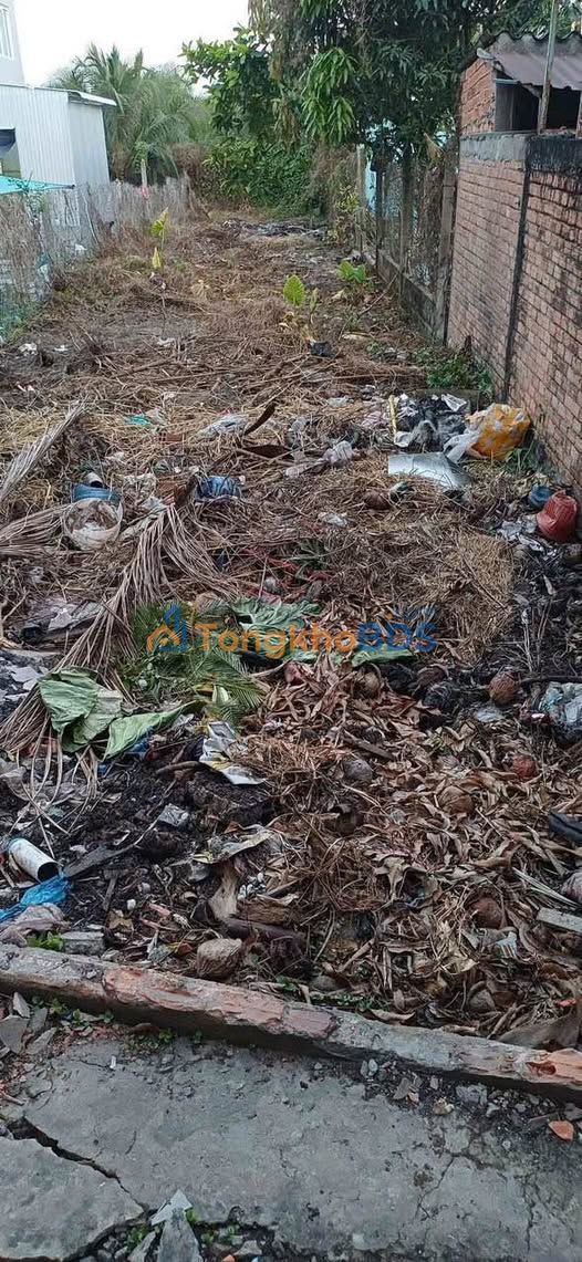 Đất Thổ Cư Hòa Phú, Tân An 171.6m² - Sổ Sẵn, Giá 499 Triệu