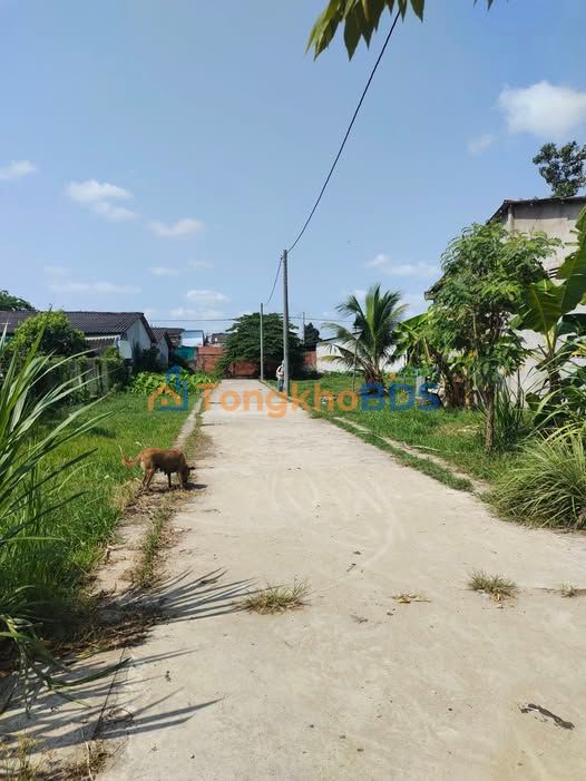 Đất Nền 100m² Xã Tân Hương, Châu Thành - Sổ Đỏ Full Thổ Cư, Giá Đầu Tư 500 Triệu