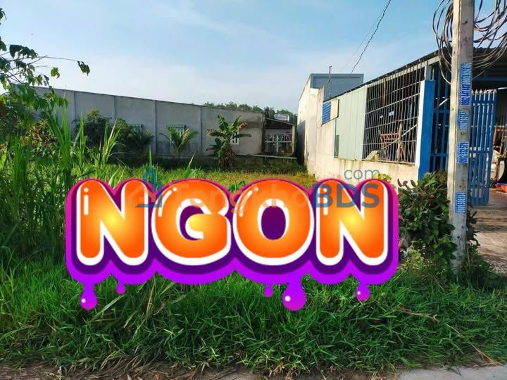 Mặt tiền Đường Chợ Gà Mỹ Hạnh Nam - 260m² Sổ Hồng Riêng - Giá 2.3 Tỷ