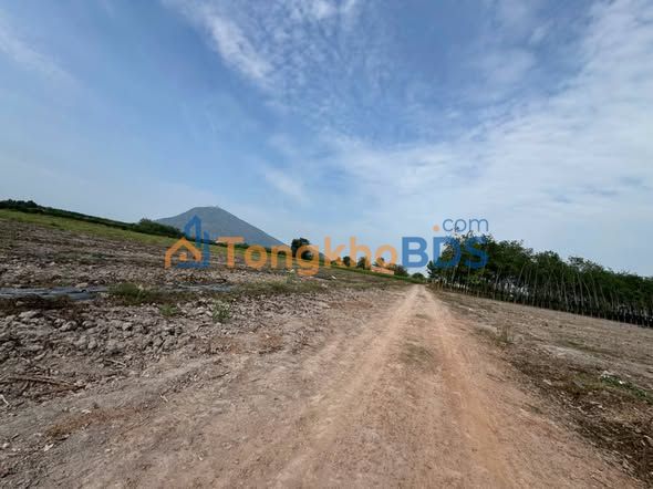 Farm Suối Đá Dương Minh Châu 11.2 tỷ - Đầu tư dài hạn