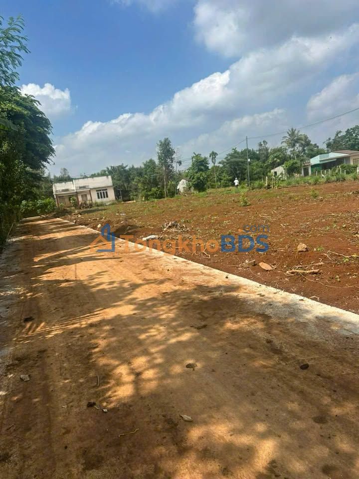 Đất nền Hòa Tân Đông 100m² 550 triệu - Sổ đỏ chính chủ