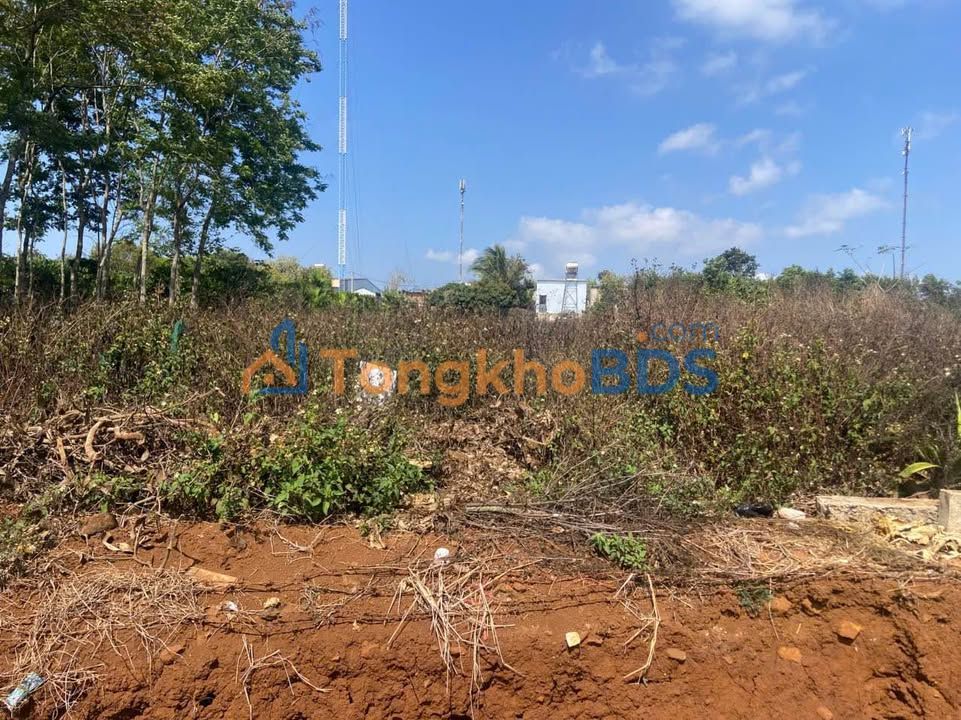 Đất nền Ea Phe Đắk Lắk 384m² 790 triệu - Sổ đỏ chính chủ