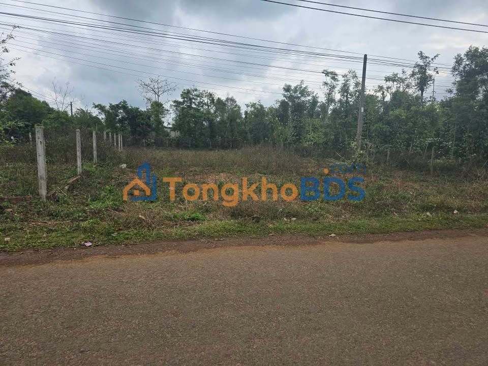 Đất nền Eakmat Buôn Ma Thuột 125m2 1.1 tỷ - Đường to oto