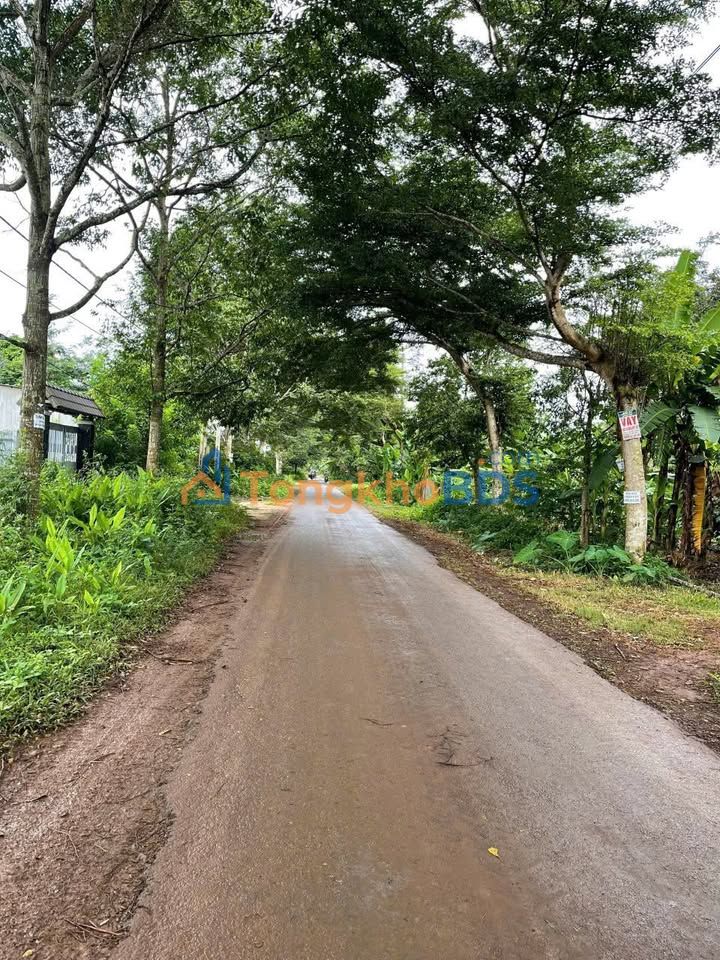 Đất Buôn Ma Thuột Nguyễn Thái Bình 500m² - Sổ đỏ chính chủ