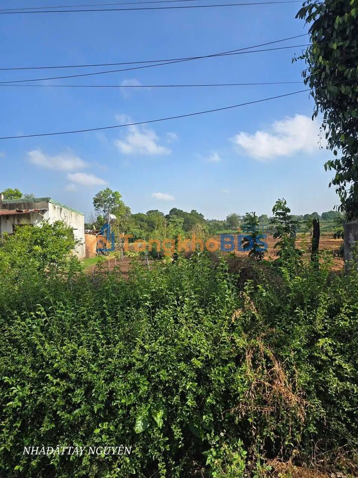 Đất Xóm Mới Hòa Khánh 325m² 770 triệu - Giá tốt hiếm có