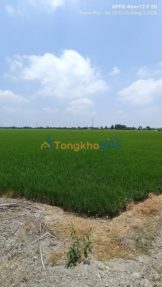 Đất vườn Kiến Bình Long An 35 công 4.2 tỷ - Giá đầu tư tốt