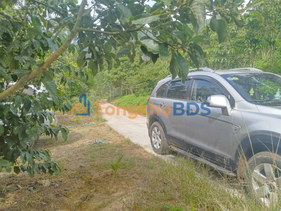 Đất Vườn Lộc Nam, Bảo Lâm 8000m² - Hướng Nam, Giá 2.5 Tỷ TL