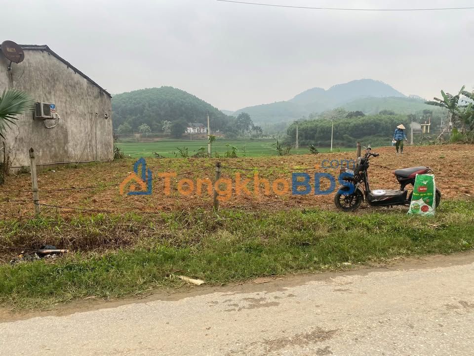 Đất nền Vĩnh Tường Tân Phú 250m² giá 600 triệu - Đường ô tô