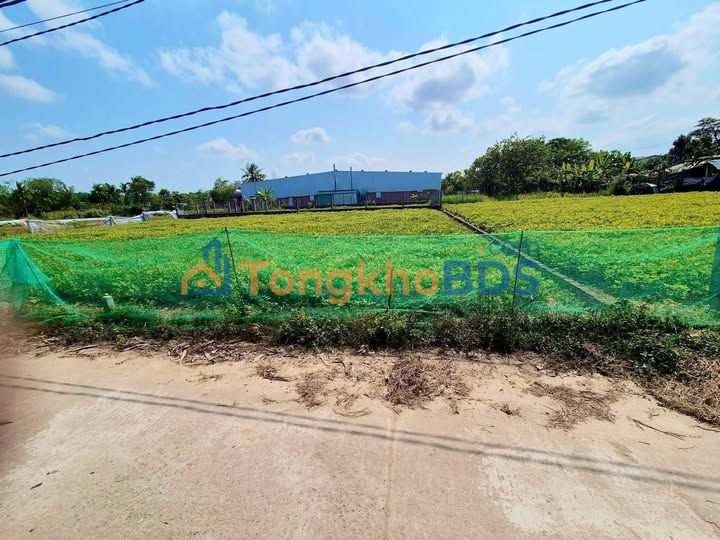 Đất Sổ Hồng 123m² Nở Hậu - Sát Cầu Quảng Đà, Hòa Tiến, Đà Nẵng