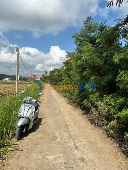 Đất nền Tuy An Phú Yên 146m² 5xx triệu - Đường to ô tô