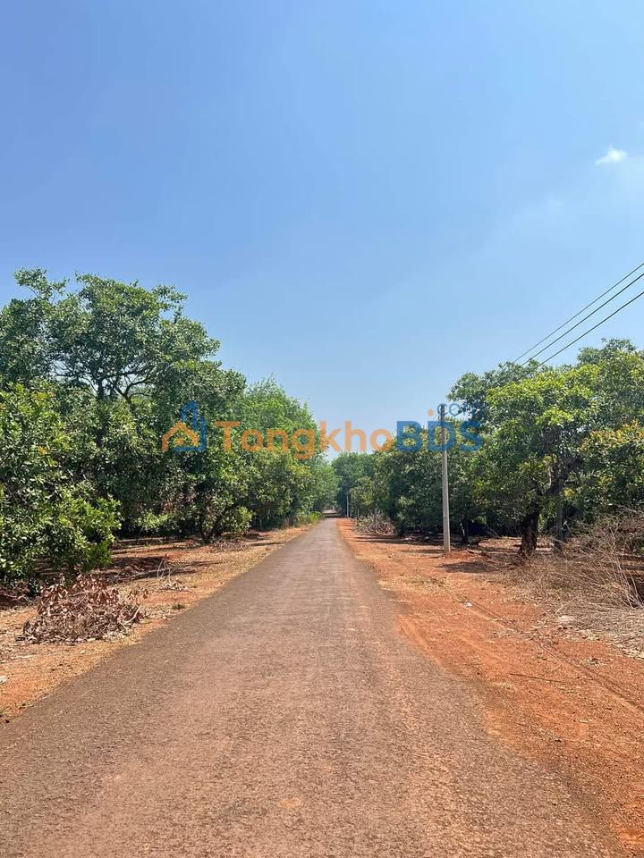 Đất nền Tân Hưng Đồng Phú 350 triệu - Sổ đỏ chính chủ