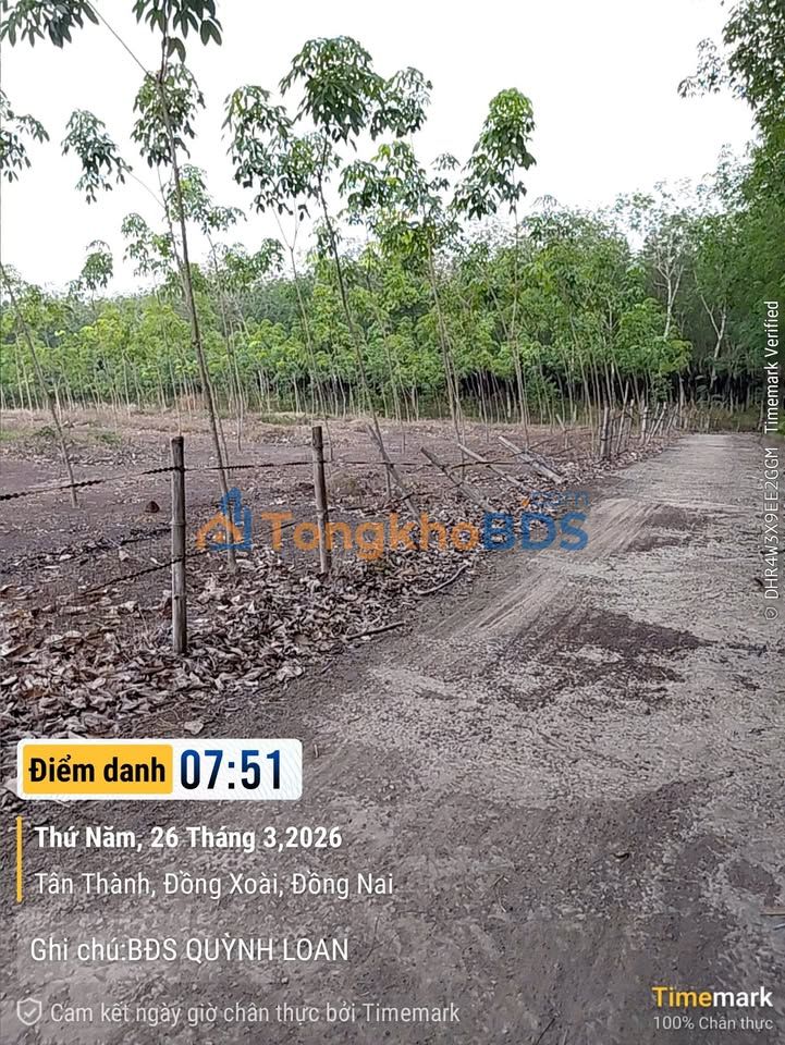 Đất Ấp Tân Thành Tổng 2.340m² 9xx triệu - Sổ đỏ chính chủ