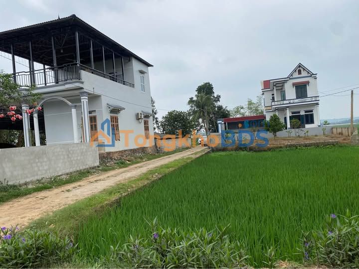 Đất nền Xã Kim Tân, Thanh Hóa 246m² 410 triệu - Sổ đỏ chính chủ