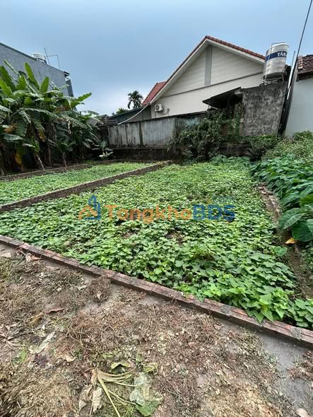 Bán Đất Thọ Lộc 46m² - Sổ Đỏ Chính Chủ, Giá Tốt