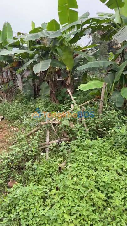 Đất nền Lương Sơn Yên Lập 1.200m² 600 triệu - Đường to ô tô