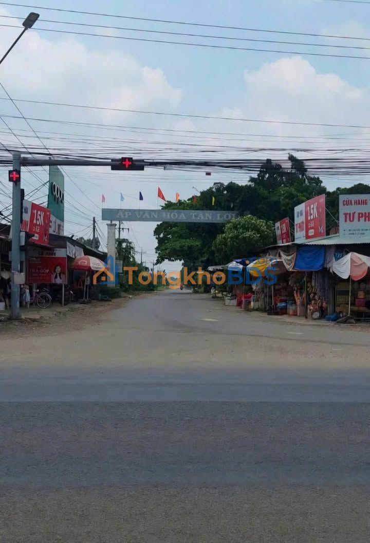 Đất nền Tân Phú Tân Châu 250m² 480tr - Hạ tầng hoàn thiện