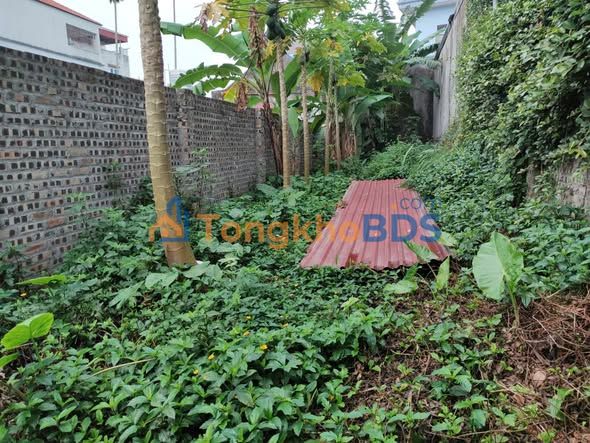 Đất Giang Biên Long Biên 78.6m² 8.5 tỷ - Sổ đỏ chính chủ