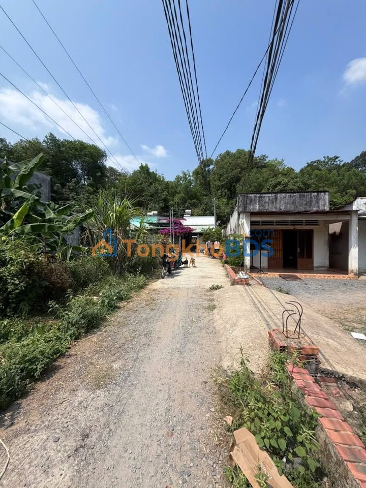 Đất nền Phú Hội Nhơn Trạch 558m² 3 tỷ - Sổ đỏ chính chủ