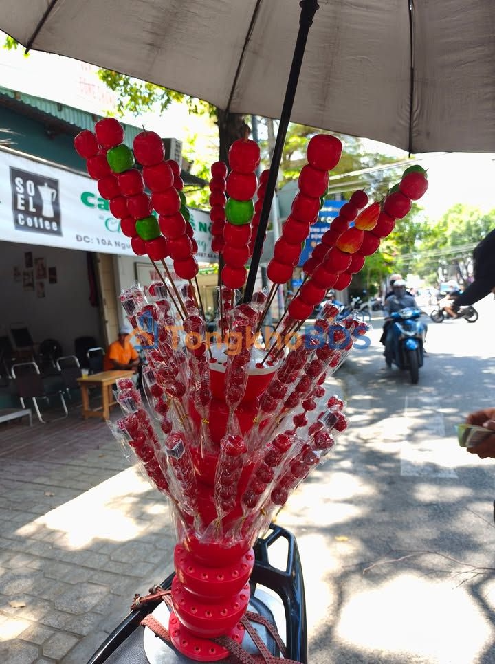 Đất nền Phước Đồng Nha Trang 183m² 700 triệu - Sổ đỏ chính chủ