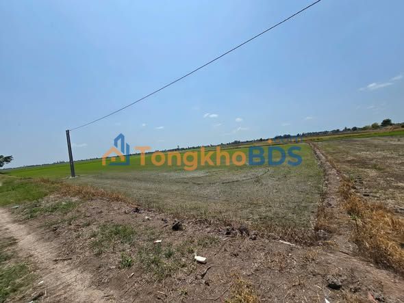 Đất Vườn Rạch Giá 6183m² - Mặt Tiền Kênh Rộng 94m - Giá Đầu Tư 250 Triệu