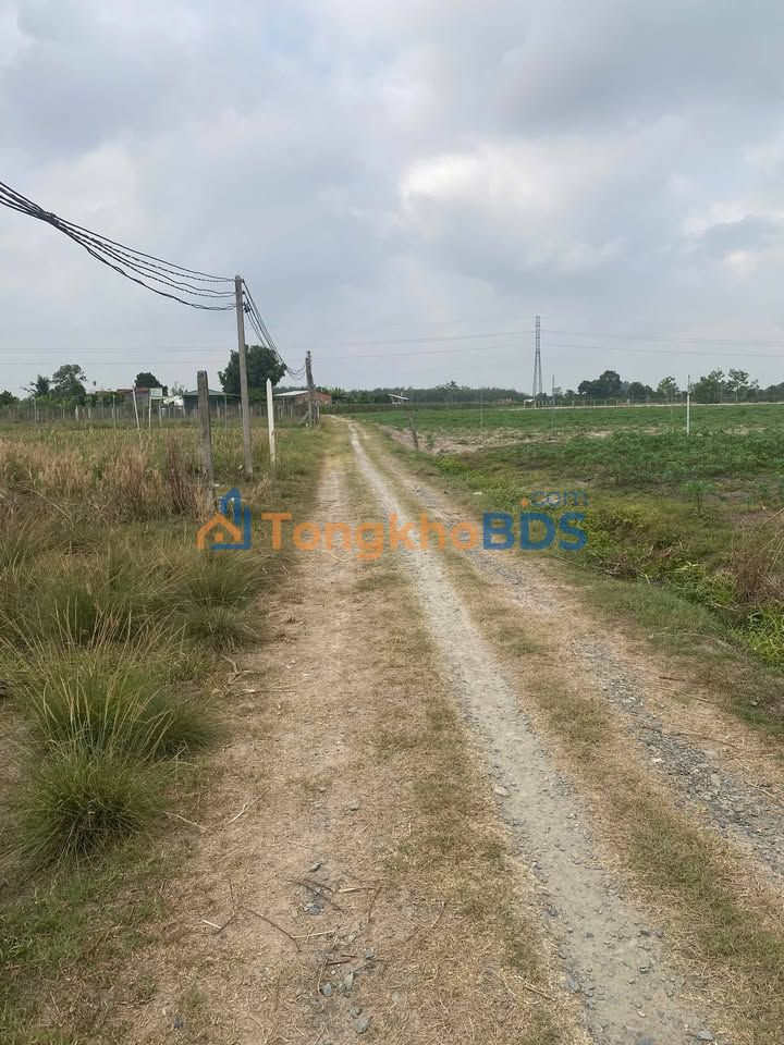 Bán Đất 528m² Ninh Thạnh, Tây Ninh - Sổ Hồng Sẵn Sàng