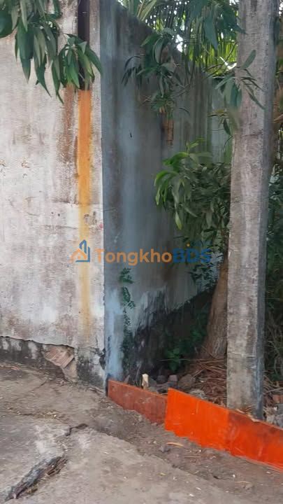 Đất vườn Thủ Thừa 700m² 1.8 tỷ - Sổ đỏ chính chủ