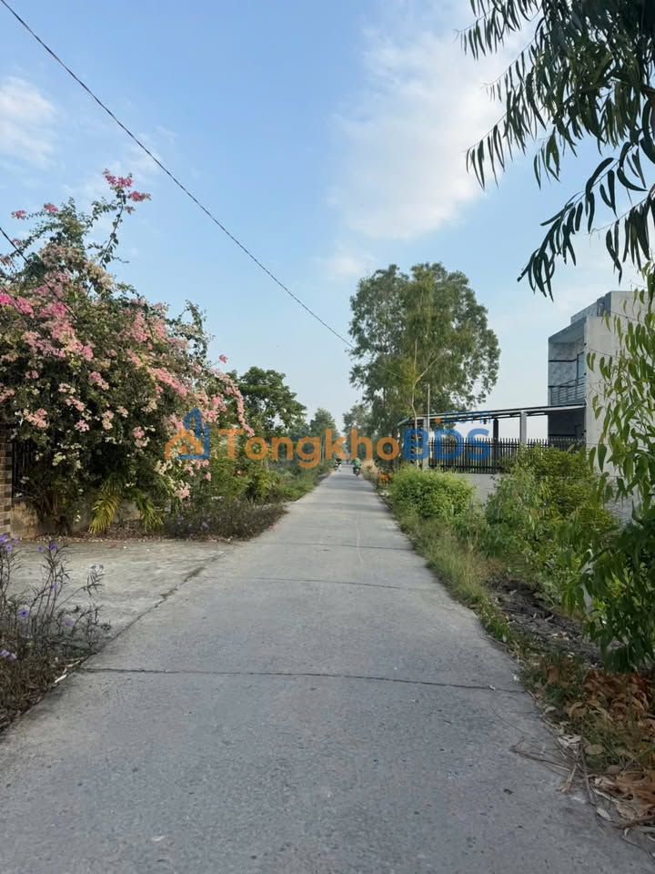 Đất vườn Bến Lức 510m² 1.3 tỷ - Sổ đỏ chính chủ