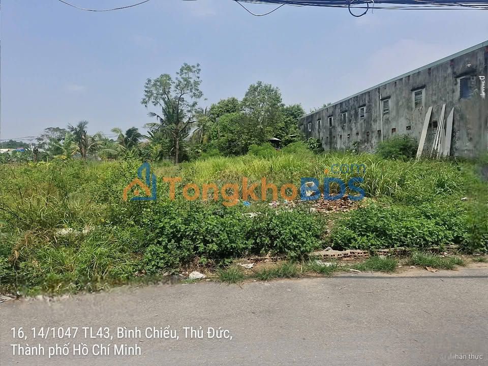 Đất nền TL43 Thủ Đức 626m² 19 tỷ - Sổ đỏ chính chủ