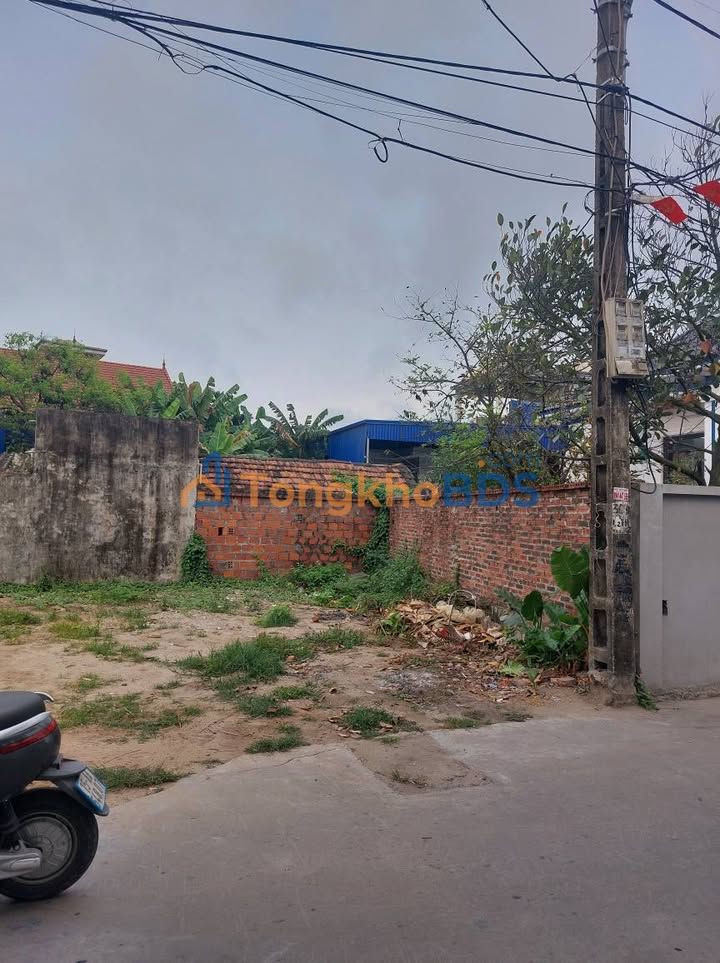 Đất Tam Hưng Thủy Nguyên 78m² 800tr - Đường ô tô