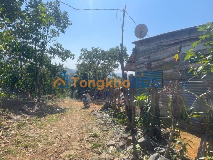 Đất vườn Lộc Bảo, Bảo Lâm 3.1ha 15 tỷ - Sinh thái xanh