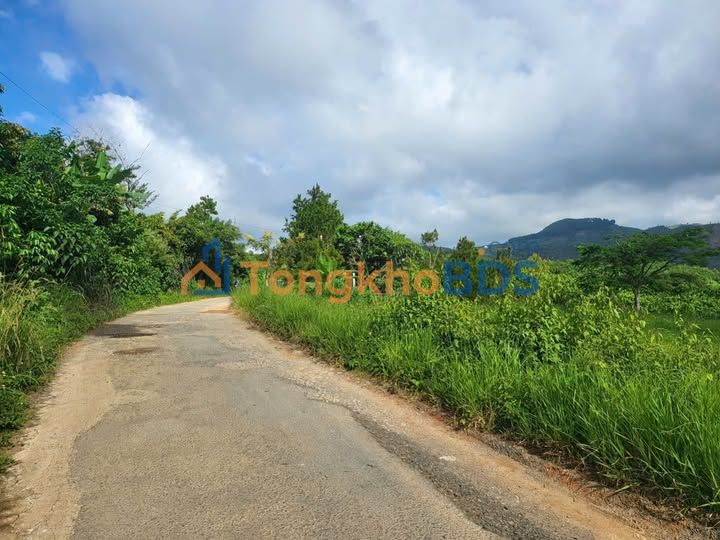 Đất nền Xã Lộc Thành 5.000m² giá 6.5 tỷ - Sổ đỏ chính chủ