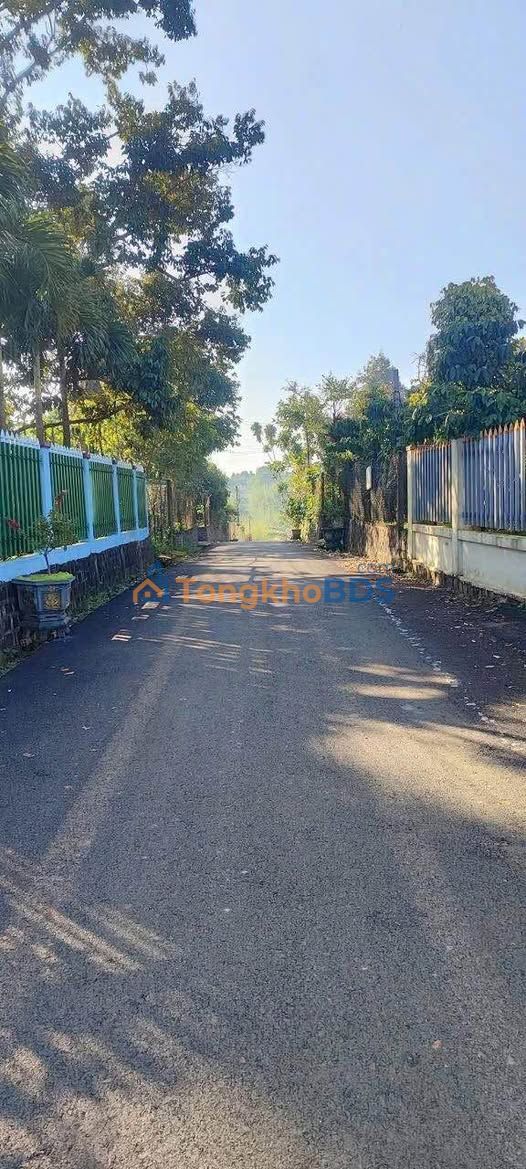 Đất hẻm 9 Trần Phú Lộc Sơn 400m² giá 8.3 tỷ - Sổ đỏ chính chủ