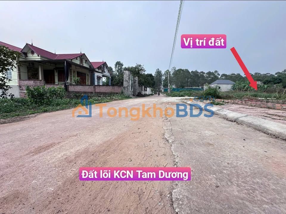 Đất Thôn Mé Tam Dương 99m² 1.1 tỷ - Thổ cư 100%