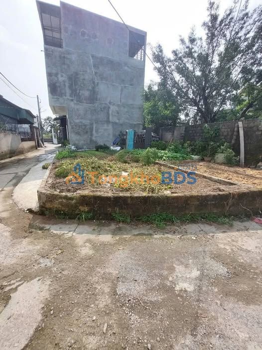 Đất Thường Tín Hồng Vân 45m² 3.05 tỷ - Sổ đỏ chính chủ