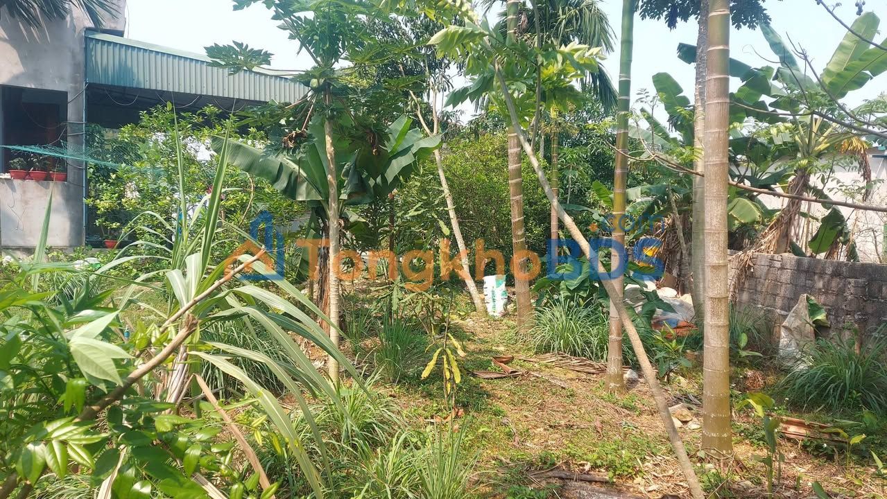 Nhà Sơn Thượng Triệu Lộc 644m² 1,4 tỷ - Chính chủ bán gấp