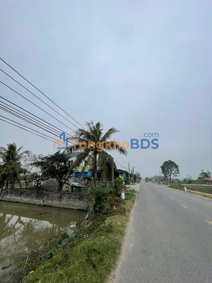 Đất nền Đông Sơn TL504 140m² 1 tỷ - Giá tốt hiếm có