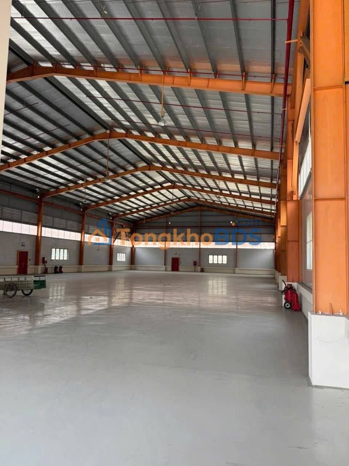 Kho xưởng Bến Lức 4.000m² 378 triệu - Diện tích lớn