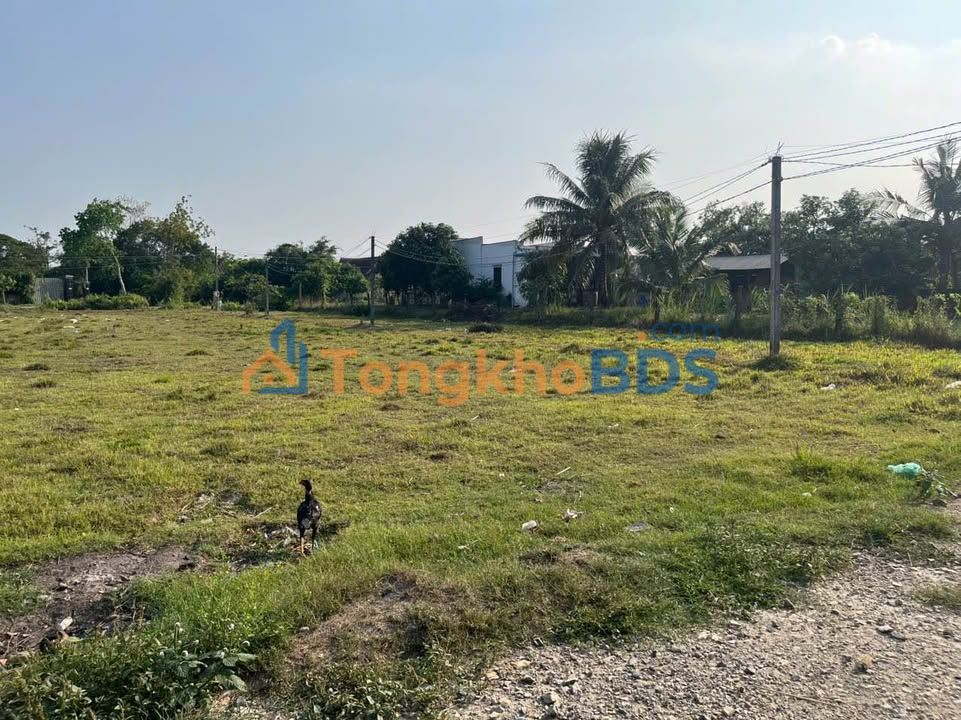 Đất Nền Mỹ Hạnh Nam, Đức Hòa 139m² Sổ Hồng Giá 630 Triệu - Sẵn Sàng Xây Dựng