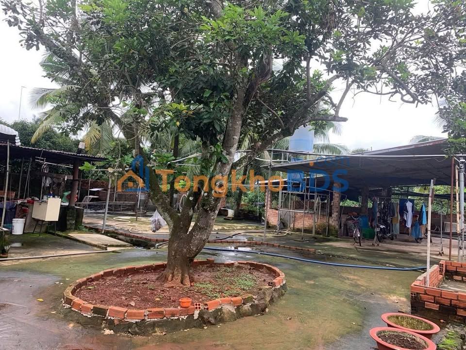 Đất nền Trảng Bom Dầu Giây 1100m² 2.7 tỷ - Sổ đỏ chính chủ