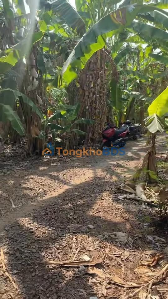 Đất Vườn Chuối Đồng Nai 14.000m² - Sổ Hồng Riêng Từng Sổ - Giá Đầu Tư 3.2 Tỷ